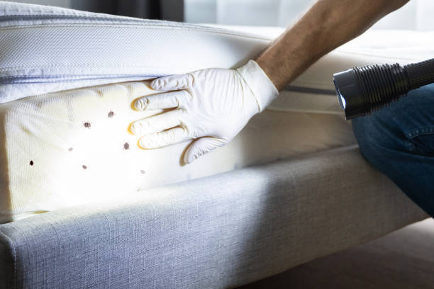 Best Pest Inspection Near Me  in Finneytown, OH